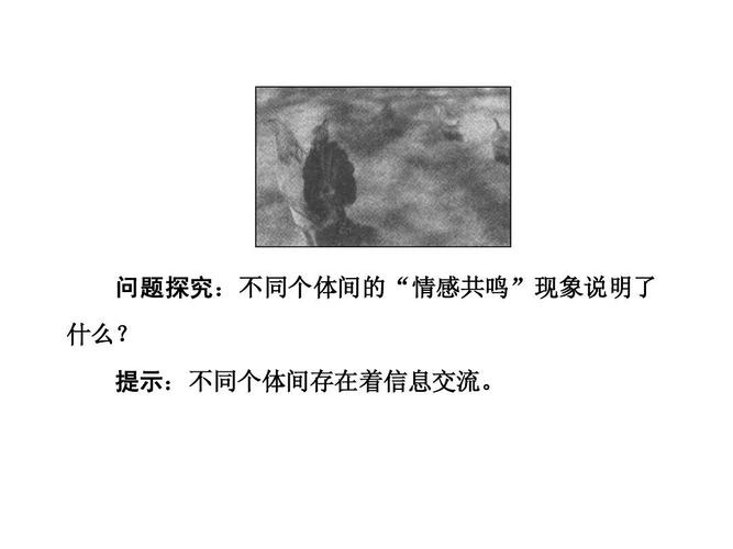 5-4 生态系统的信息传递 课件